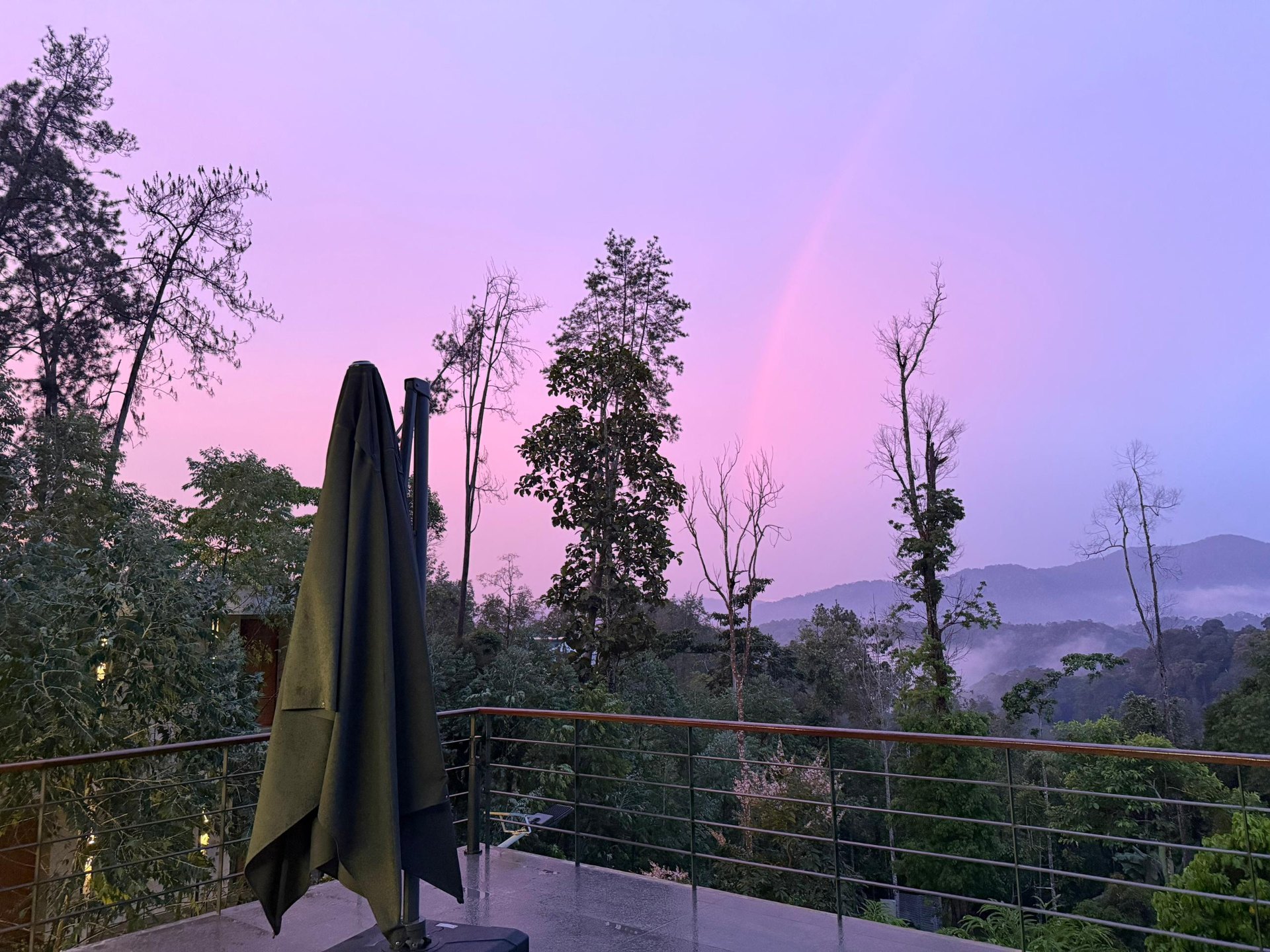 Guided breathwork session beside the rainforest at SereneNest