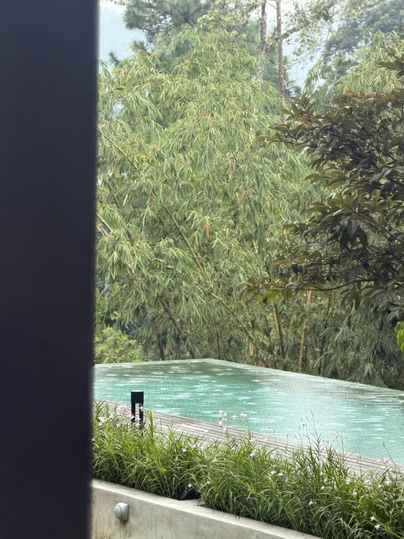 Mindful tea ceremony shared by retreat guests at SereneNest